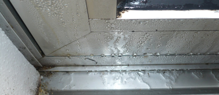 Tauwasserausfall an ausgekühlten Aluminium-Fenstern